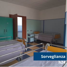 Sorveglianza h24